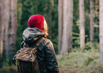 Beyond the red hat: brain networks in premenstrual dysphoric disorder